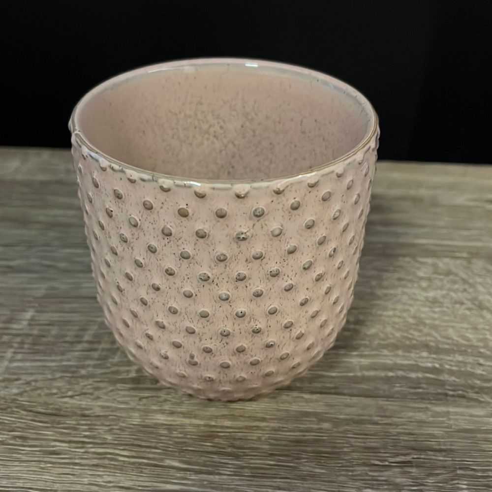 Small Succulent Pot